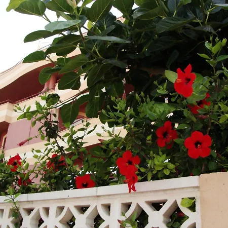 Apartamento Pelicanos Golf & Beach - Spacious And Modern With Terrace And Private Pool Roquetas de Mar Exterior foto